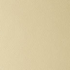 ARIZONA BEIGEBUTTERFLY