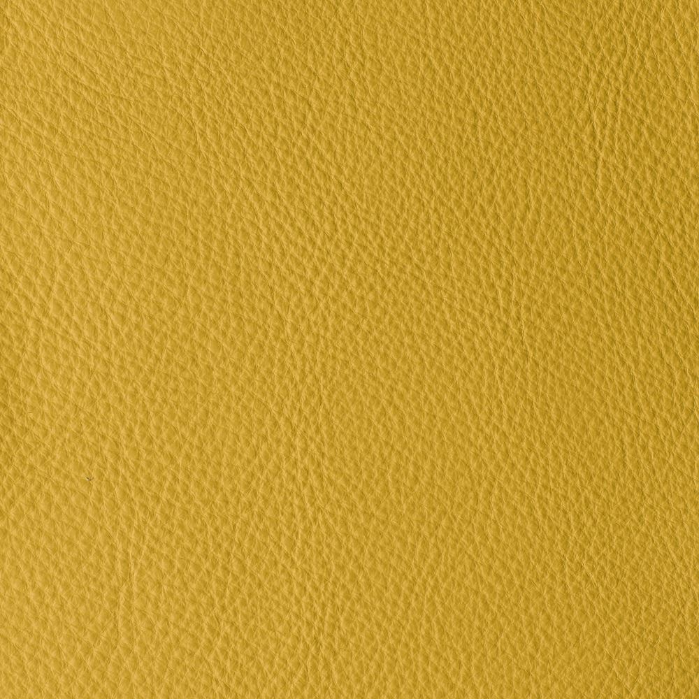 ATLANTIDA COLLECTION