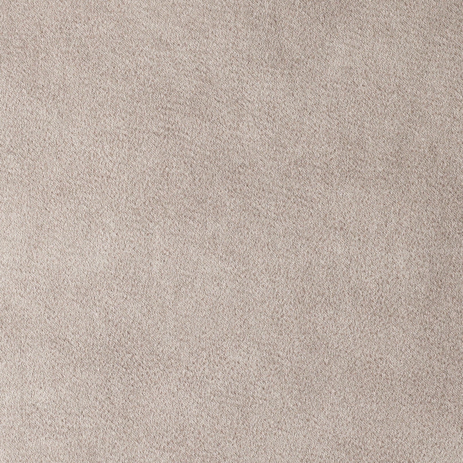 BRUTUS LIGHTGREY Main image