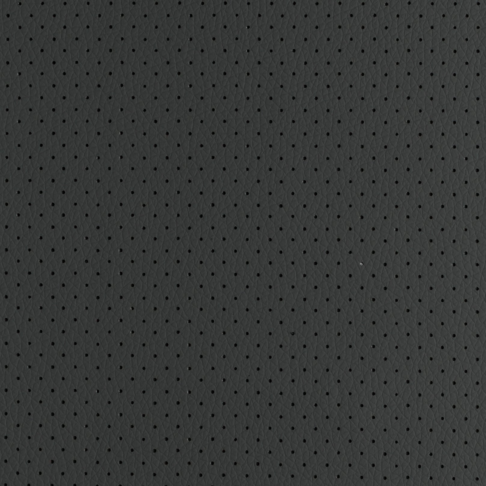 CHRONUS PERFORATED Secondary image