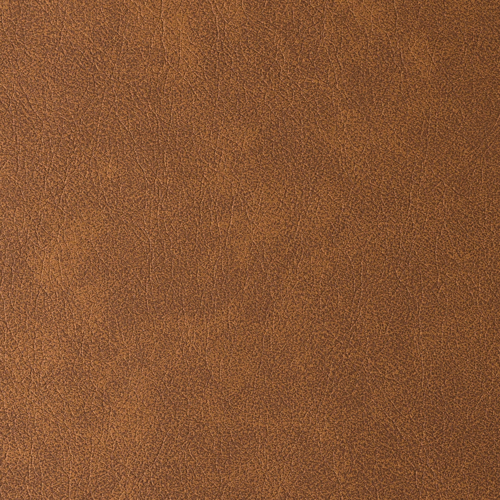 Colorado Cuoio Main image