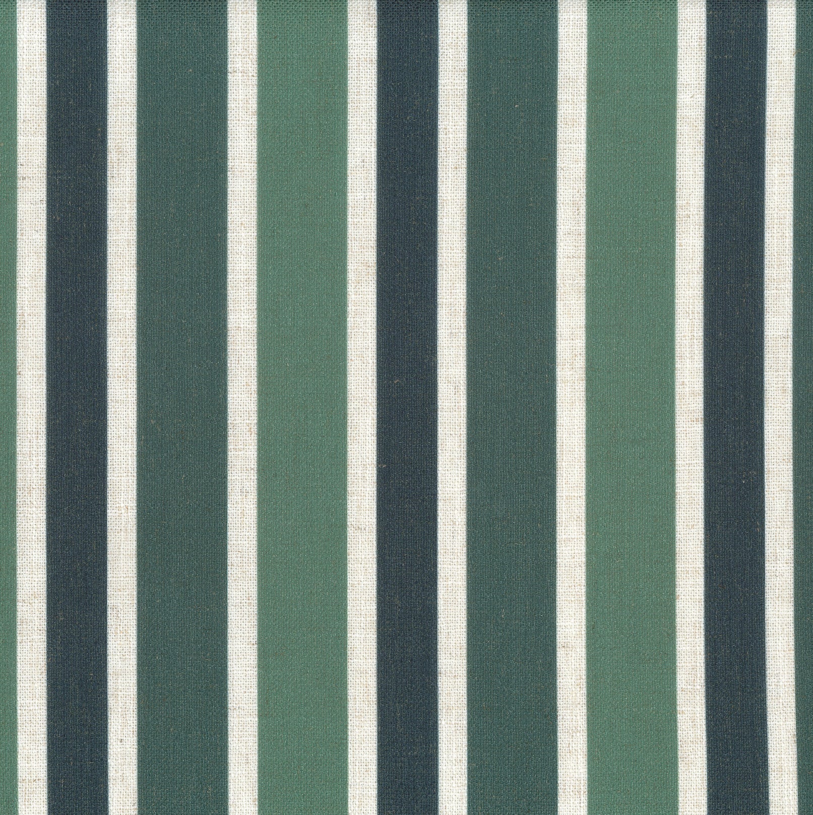 HOLLYWOOD COLLECTION