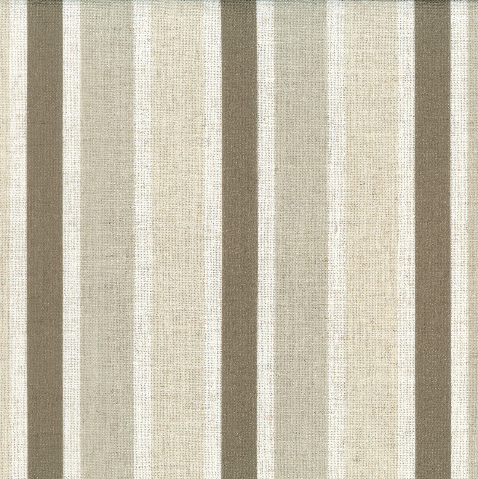 HOLLYWOOD COLLECTION