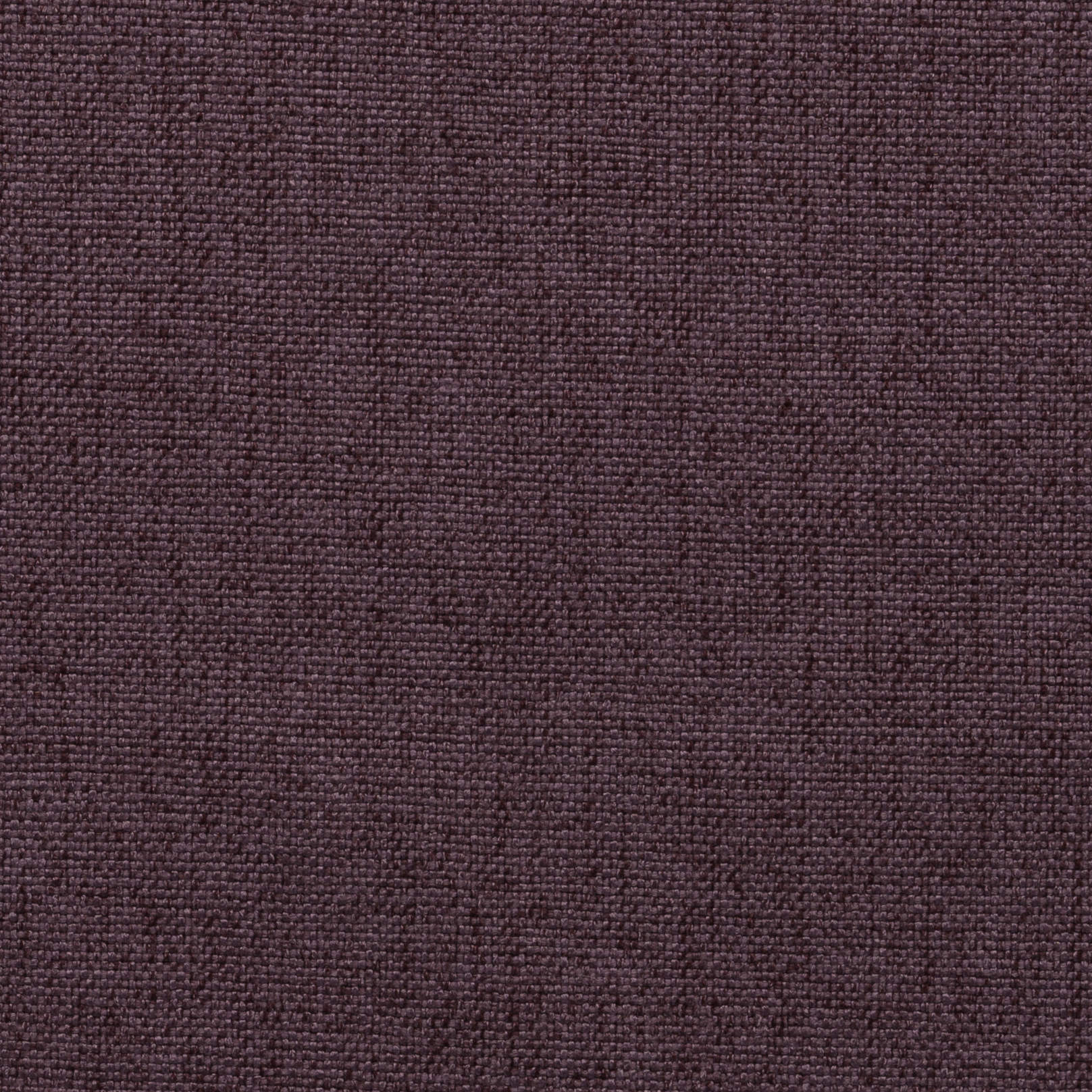 KENYA PURPLE
