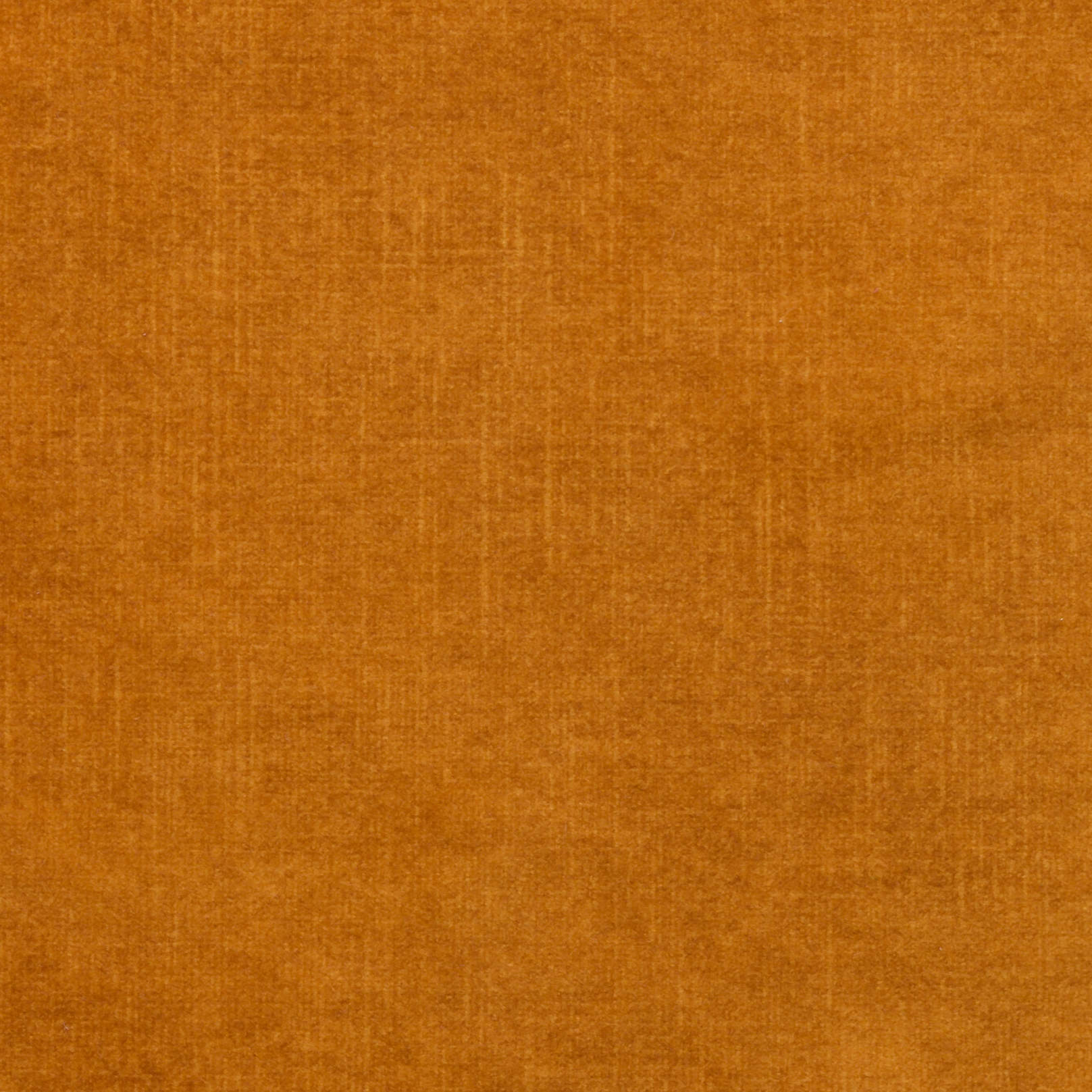 MACAU GOLD Main image