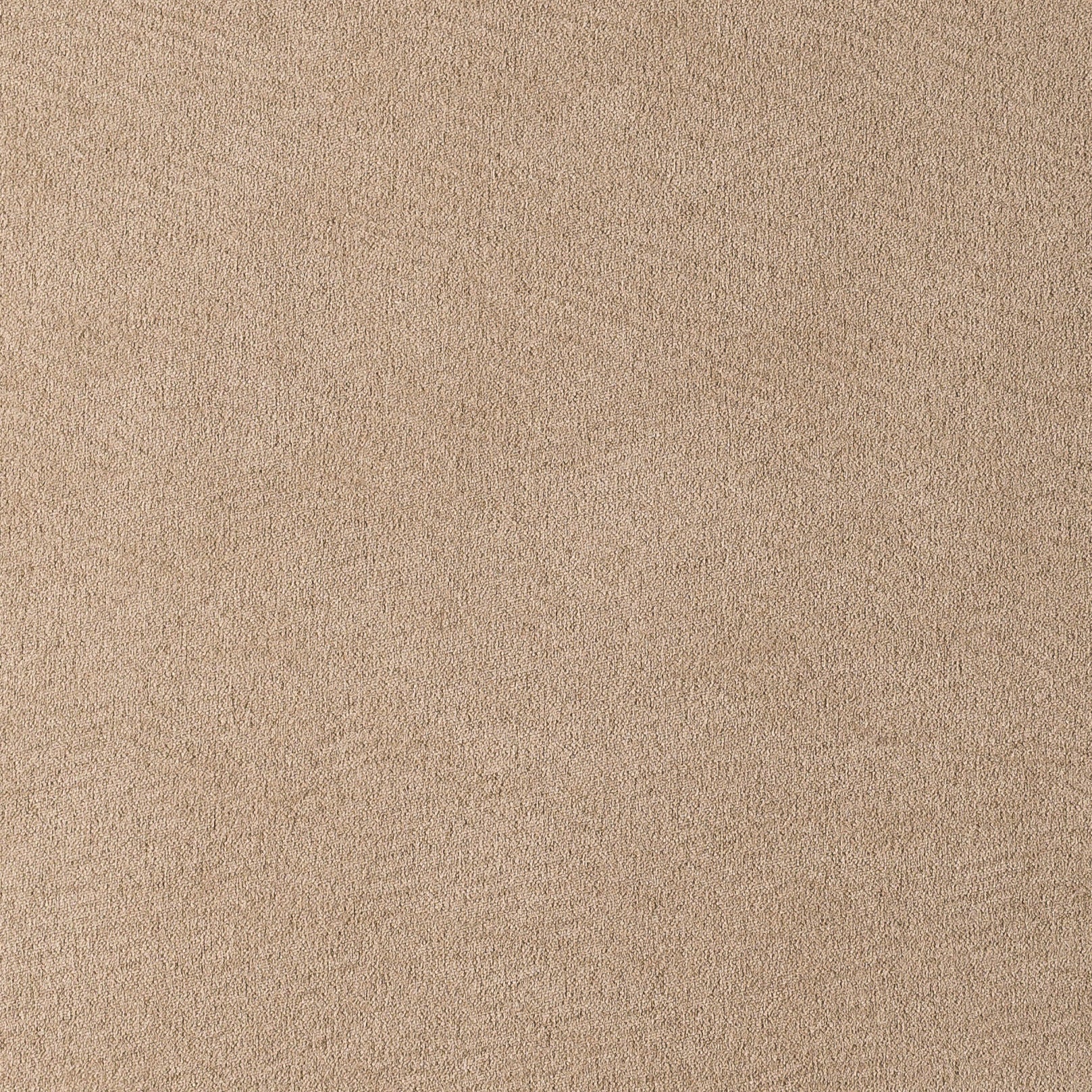 MUNICH SUEDE COLLECTION