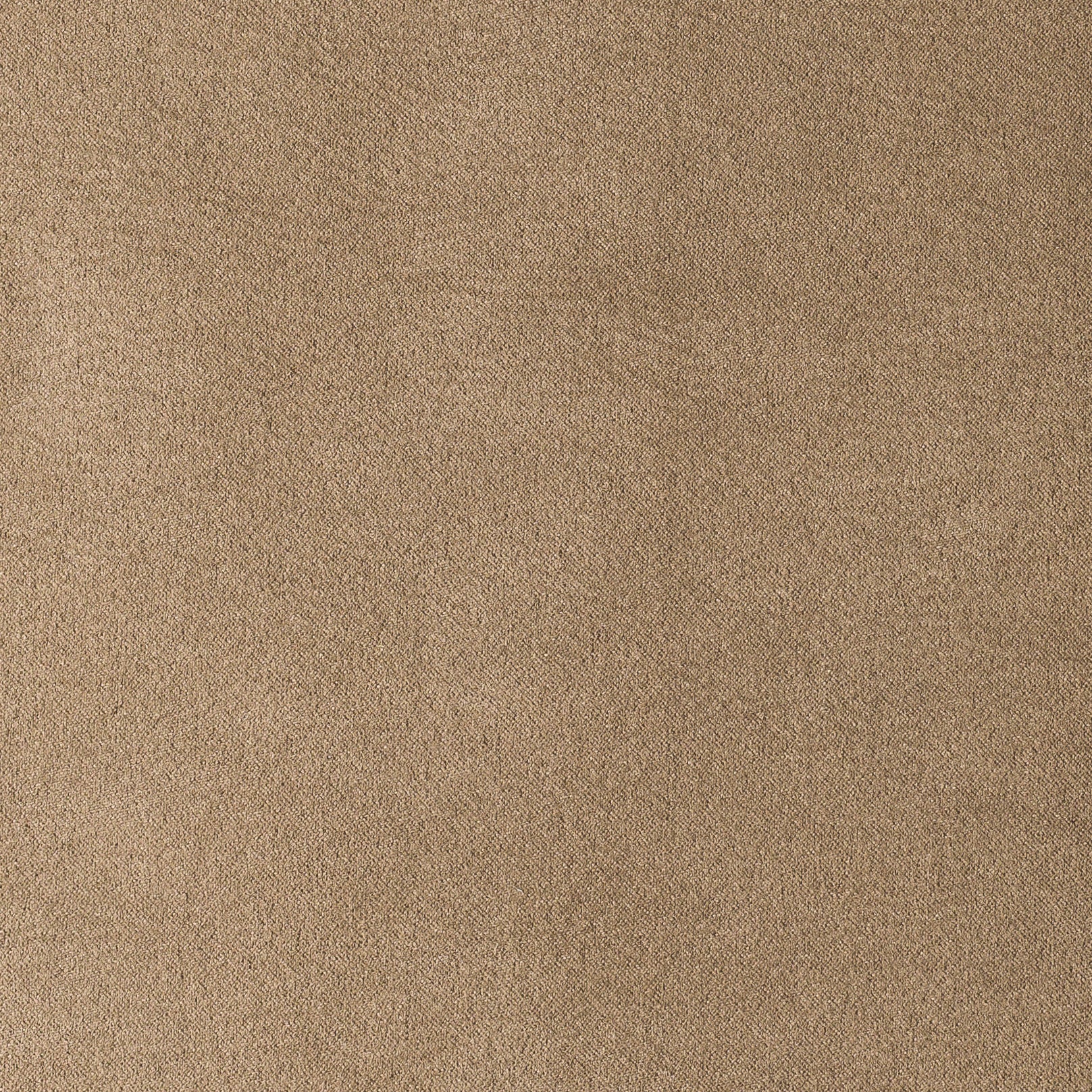 MUNICH SUEDE COLLECTION Secondary image