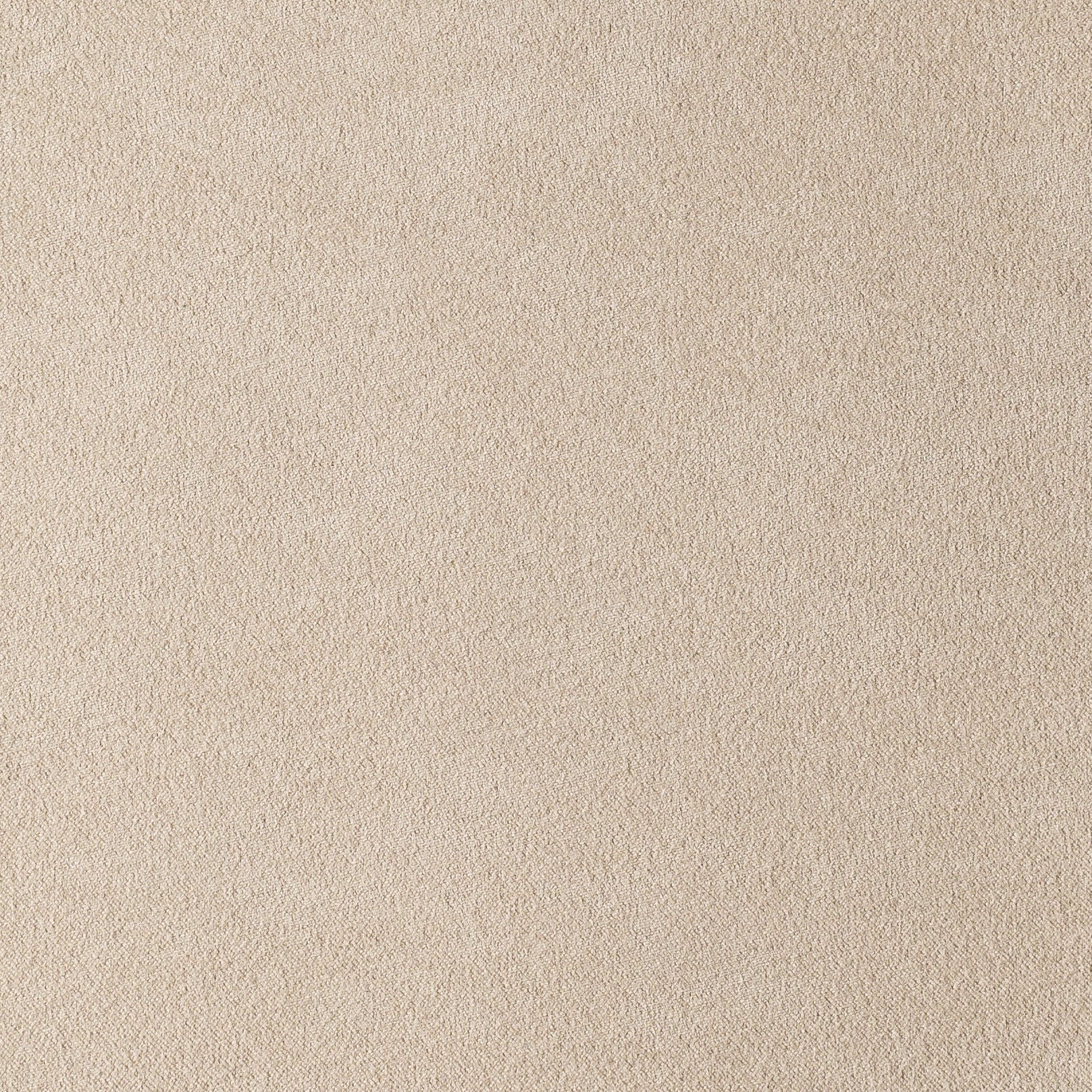 MUNICH SUEDE COLLECTION