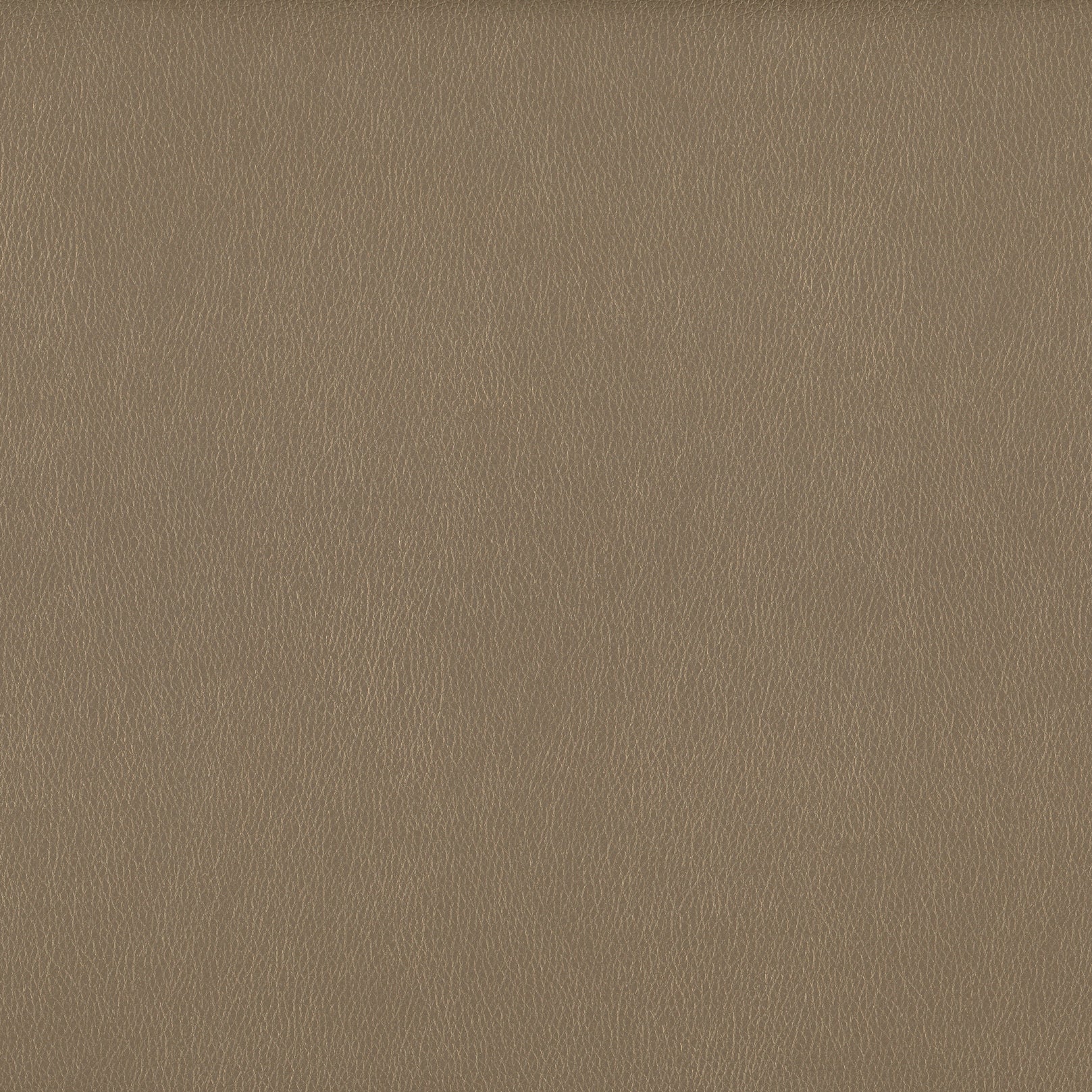 OMEGA GOLD Main image