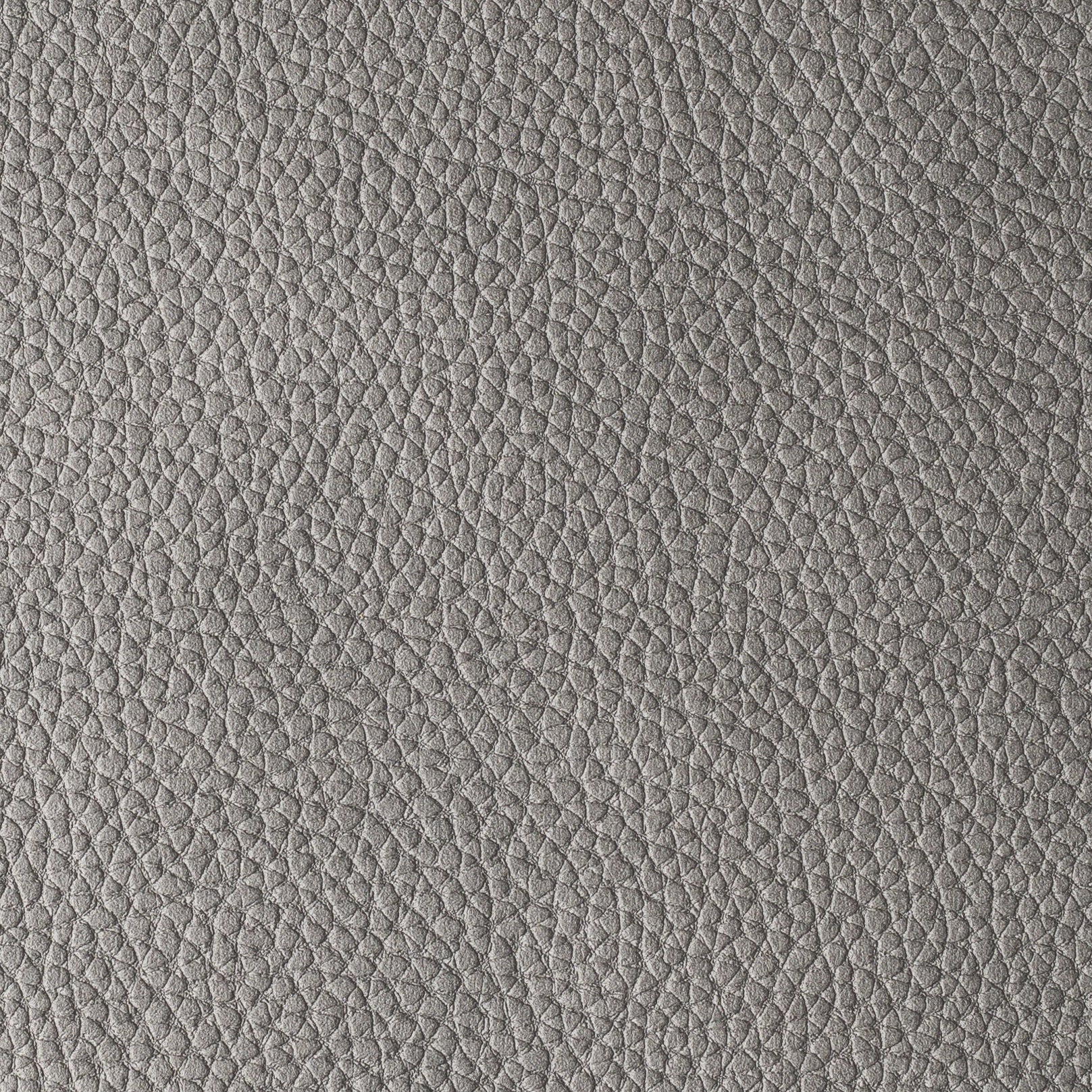 PACIFICO ASH Main image