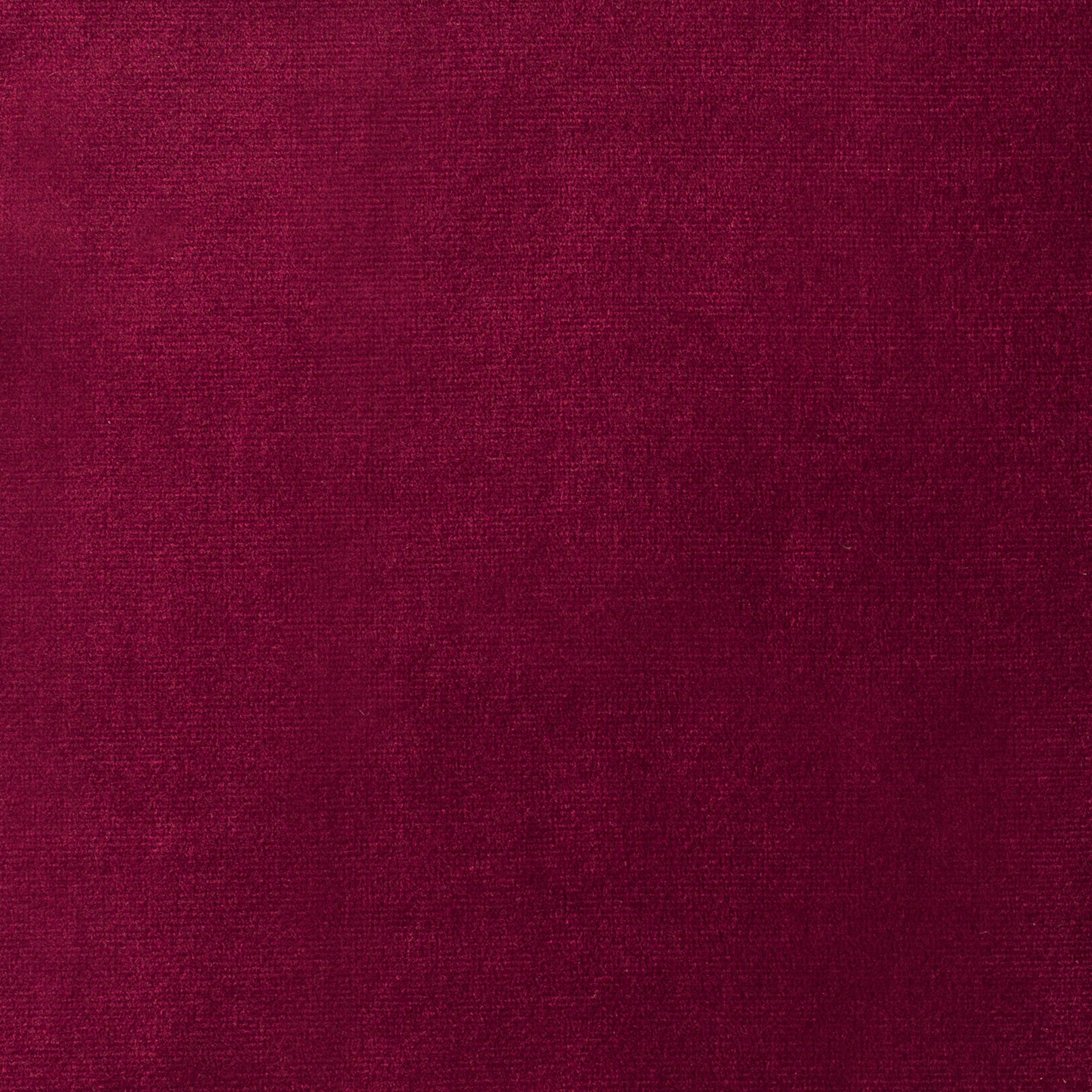 PARIS WINE Main image