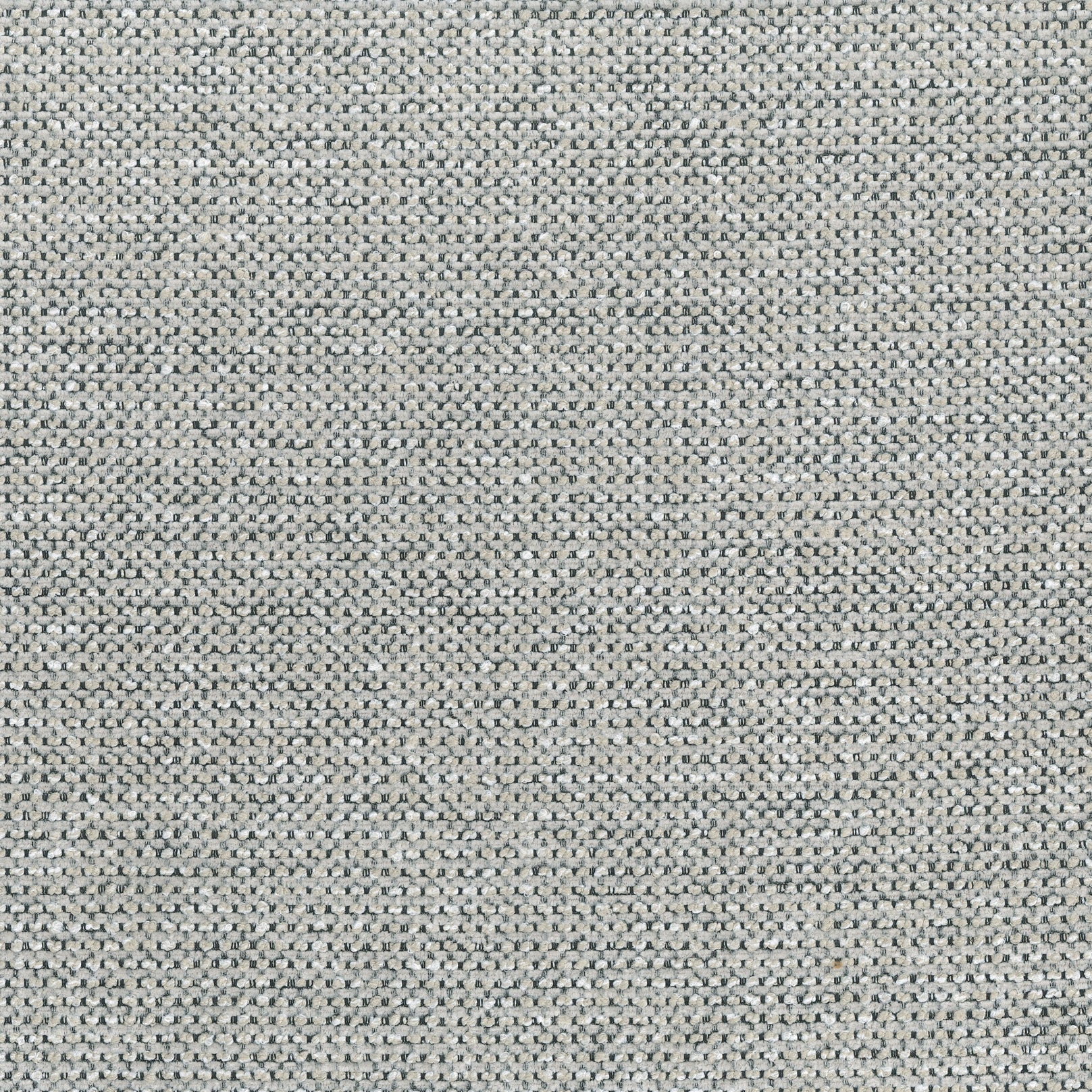 STELLA TOFFEE Main image