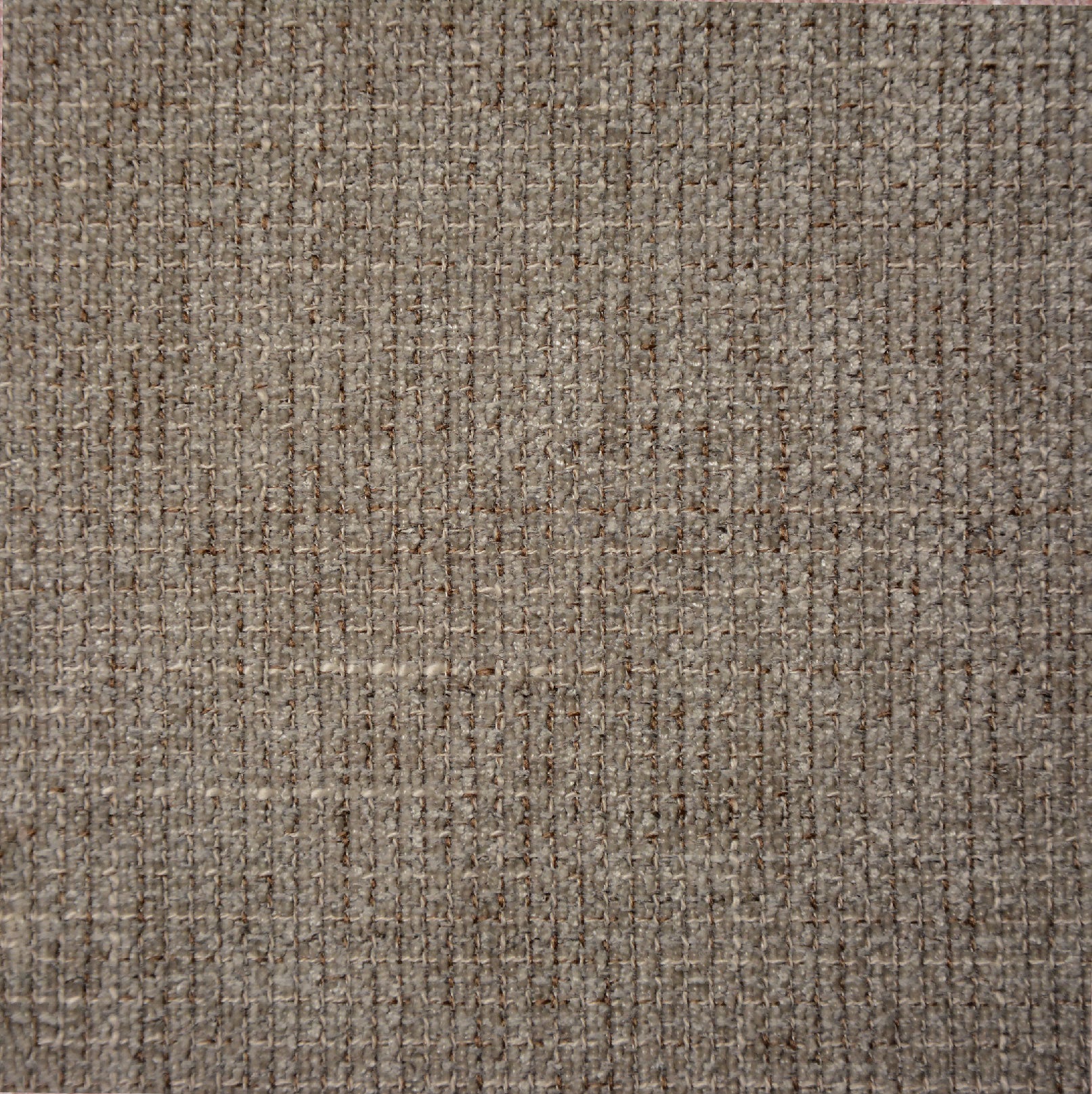 TRIBU TAUPE Main image