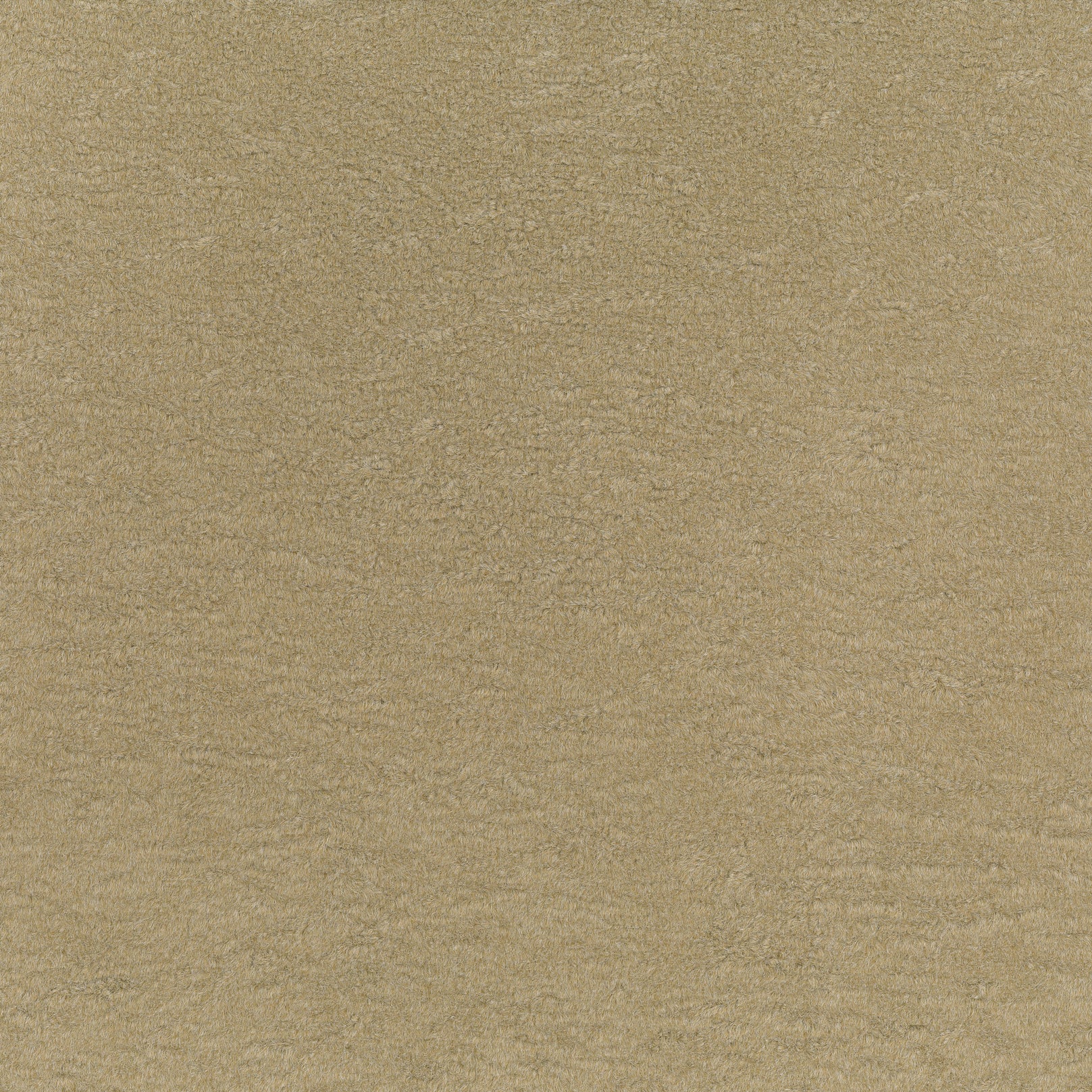 WOLF COLLECTION Secondary image